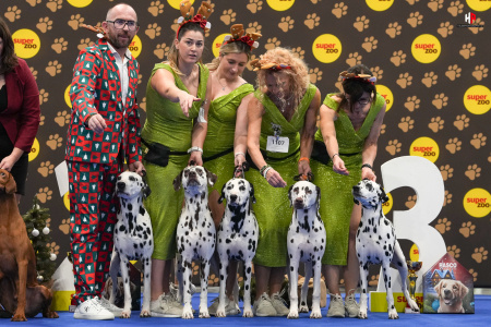 LH109607_hajekphotography.cz