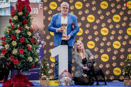 NVP Brno Vánočka 22. - 23. 11. 2025