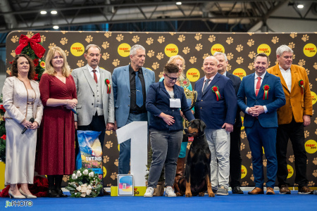 NVP Brno Vánočka 22. - 23. 11. 2025