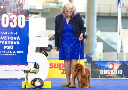 LH500244_hajekphotography.cz