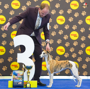 LH500420_hajekphotography.cz