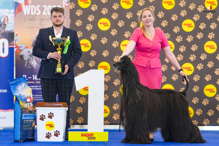 LH500459_hajekphotography.cz