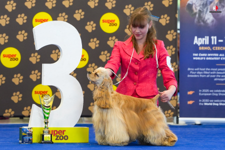 LH506899_hajekphotography.cz