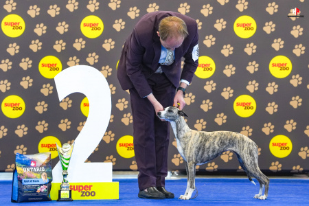 LH507781_hajekphotography.cz