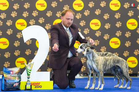 LH508048_hajekphotography.cz