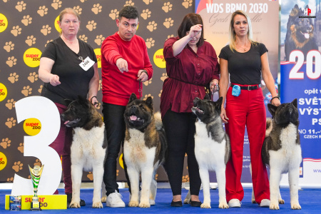 LH508328_hajekphotography.cz