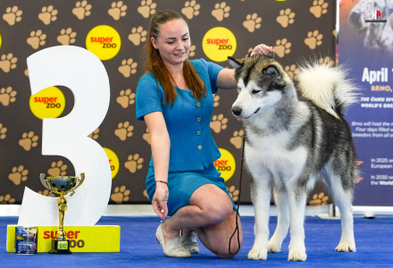 LH508849_hajekphotography.cz