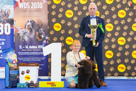 LH509242_hajekphotography.cz