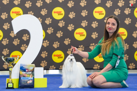 LH509255_hajekphotography.cz