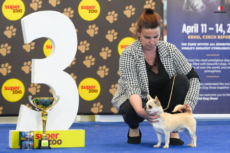 LH509256_hajekphotography.cz