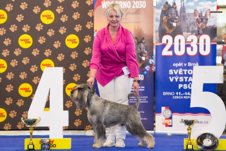 LH509676_hajekphotography.cz