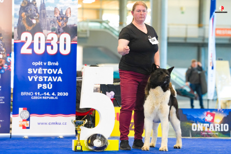 LH509970_hajekphotography.cz