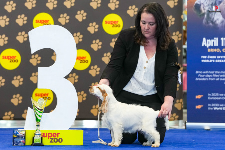 LH207733_hajekphotography.cz