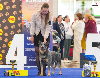 LH502353_hajekphotography.cz