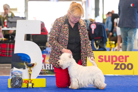 LH502884_hajekphotography.cz