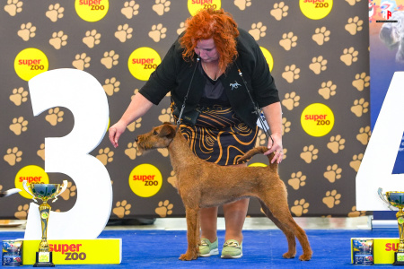 LH502901_hajekphotography.cz