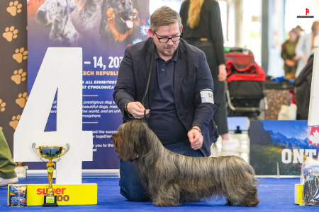 LH502912_hajekphotography.cz