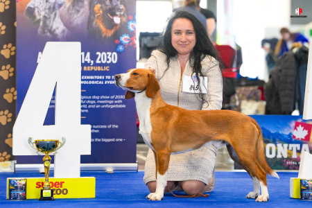 LH503782_hajekphotography.cz