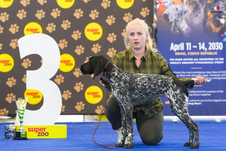 LH503830_hajekphotography.cz