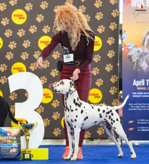 LH503833_hajekphotography.cz