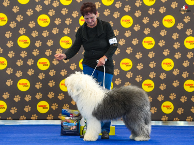 LH503852_hajekphotography.cz