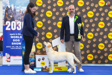 LH503856_hajekphotography.cz