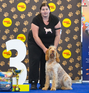 LH503889_hajekphotography.cz