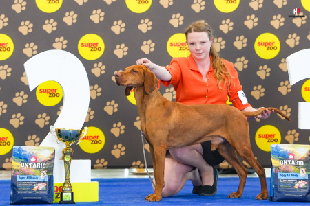 LH503919_hajekphotography.cz