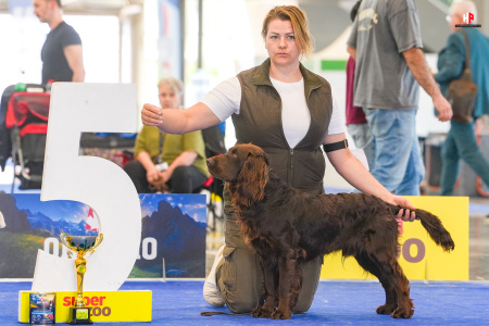 LH504364_hajekphotography.cz