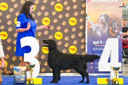 LH504377_hajekphotography.cz