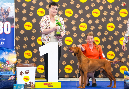 LH504821_hajekphotography.cz