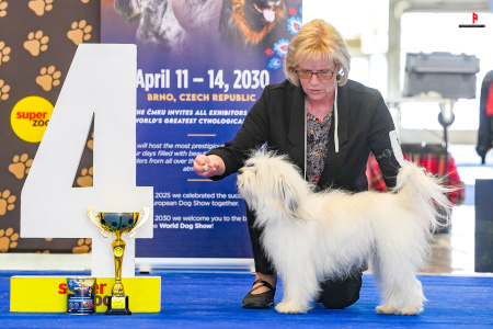 LH504872_hajekphotography.cz