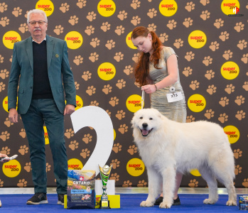 LH505633_hajekphotography.cz