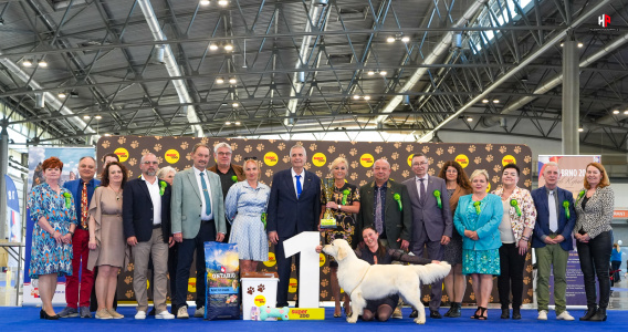 LH506014_hajekphotography.cz