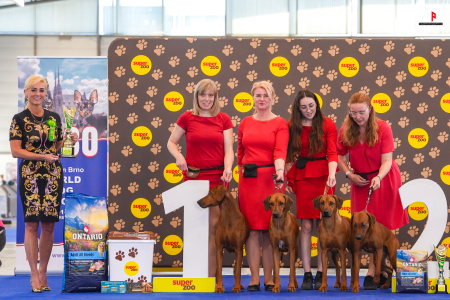 LH507378_hajekphotography.cz