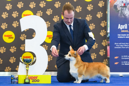 LH508121_hajekphotography.cz