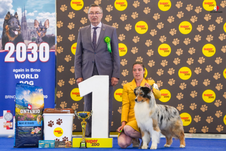 LH508133_hajekphotography.cz