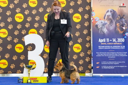 LH508927_hajekphotography.cz