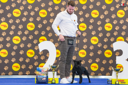 LH508944_hajekphotography.cz