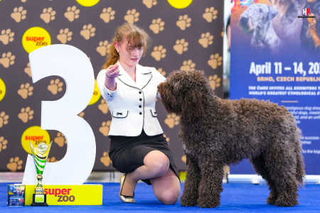 LH206948_hajekphotography.cz