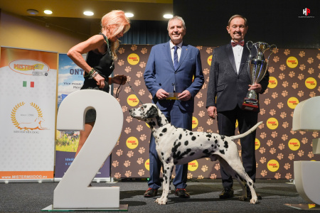 LH500856_hajekphotography.cz