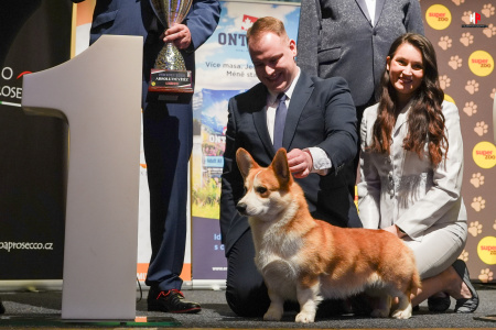 LH500951_hajekphotography.cz