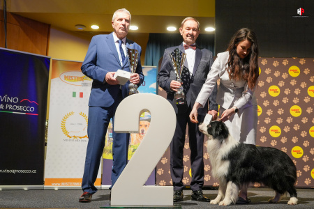 LH506884_hajekphotography.cz