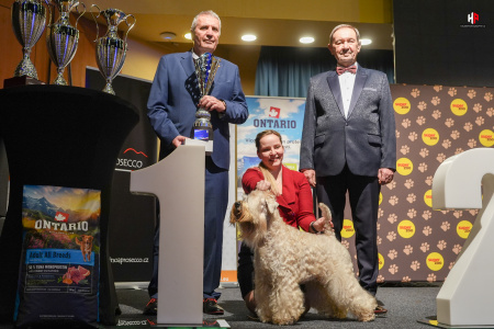 LH507685_hajekphotography.cz