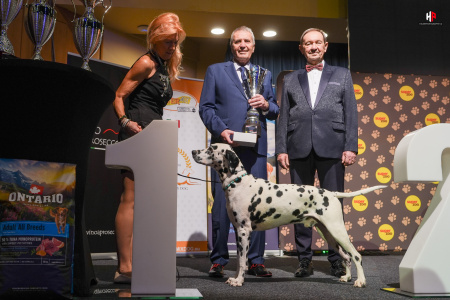 LH508463_hajekphotography.cz