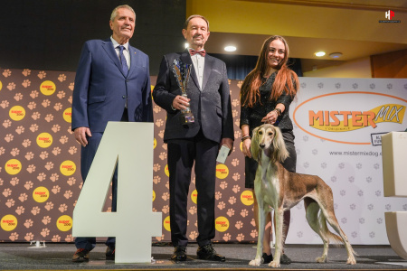 LH509163_hajekphotography.cz