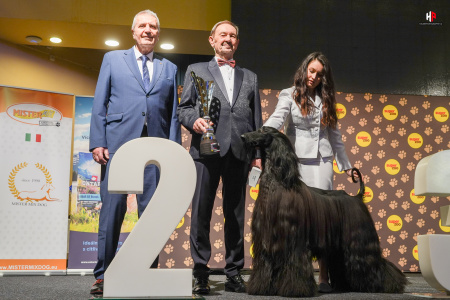 LH509250_hajekphotography.cz