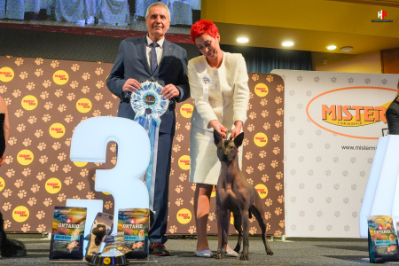 LH502628_hajekphotography.cz