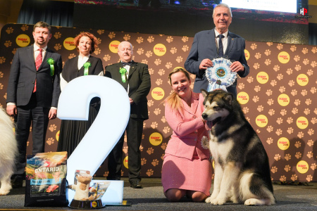 LH502692_hajekphotography.cz