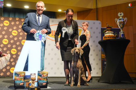 LH502940_hajekphotography.cz